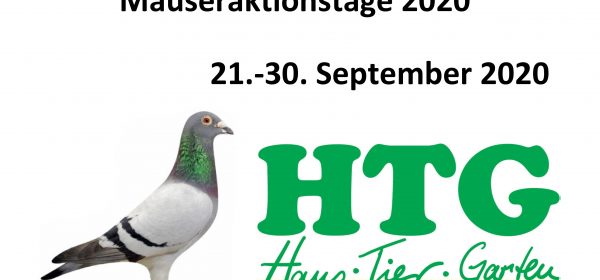 HTG Metelen