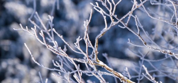 Streusalz vorrätig!
